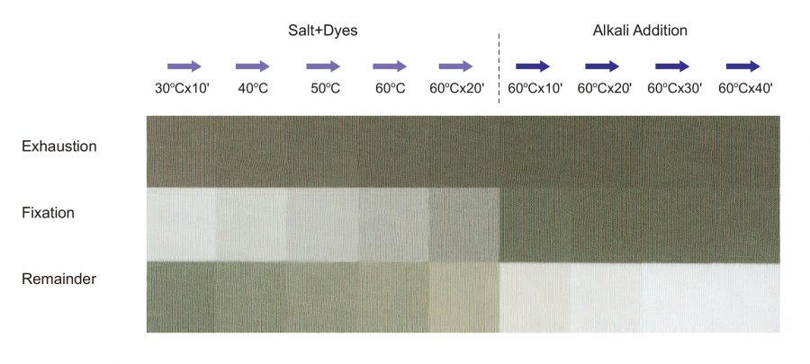 Everzol CS dyes -- Exceptional Dyeing Compatibility (exhaust dyeing) | Everlight Colorants