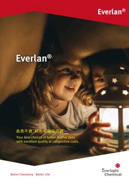 Everlan 經濟型棕色染料 | Everlight Colorants