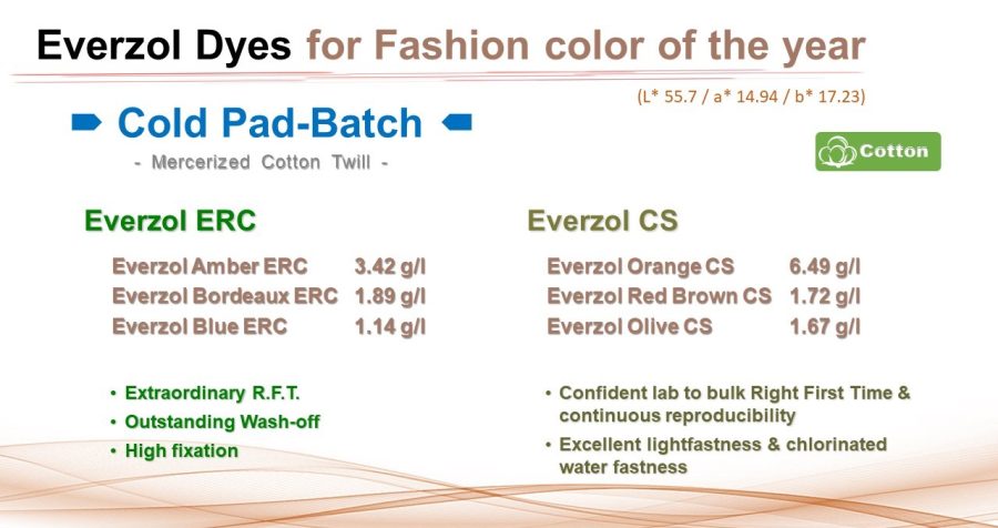 Best recipes recommend for Fashion Color 2025 - Everlight Colorants ...